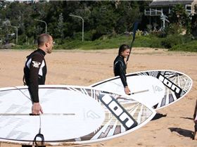 Fanatic boards, PAlmy