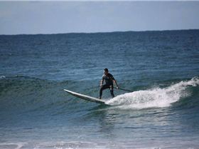 JB and Quinny session