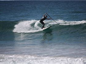 JB and Quinny session