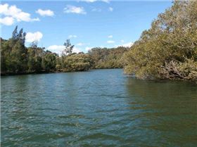 Lane Cove River 9