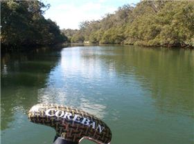Lane Cove River 11