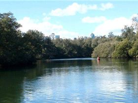 Lane Cove River 15