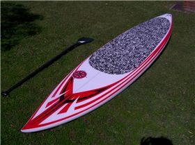 true north flyingfish