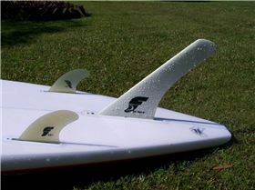 true north flyingfish