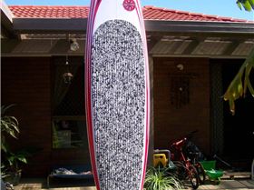 true north flyingfish