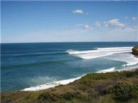 WINTER BELLS 012 (Small)