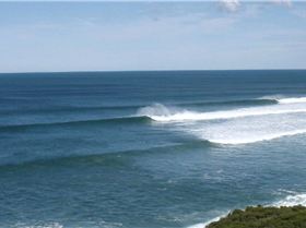 WINTER BELLS 012 (4)