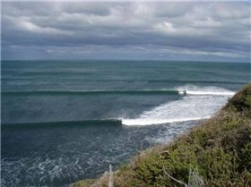 WINTER BELLS 031 (Small)