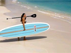 sup overview image 2[1]