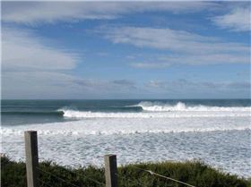 BIG BELLS 021 (Medium)