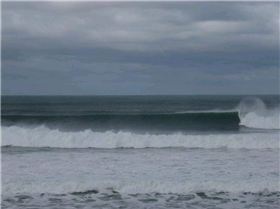 BIG BELLS 069 (Medium)