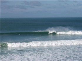 BIG BELLS 001 (Medium)