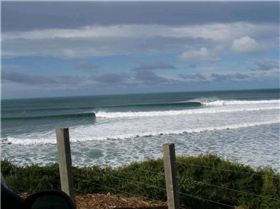 BIG BELLS 029 (Medium)