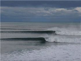 BIG BELLS 109 (Medium)