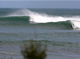 Not as big as Bells but pretty good