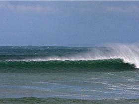 winter in victoria  max temp 11 degrees