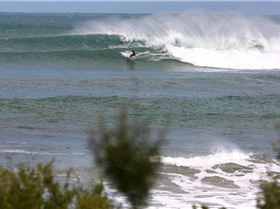 winter in victoria  max temp 11 degrees