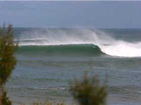 winter in victoria  max temp 11 degrees