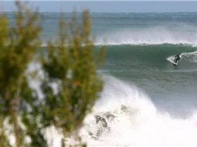 winter in victoria  max temp 11 degrees