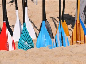 Stand Up Paddle