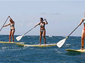Stand Up Paddle