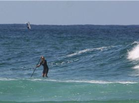 esther ready for takeoff and a humpback  claps his support......
