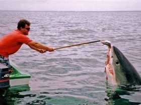 n597541823 1005326 6084mad