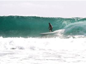 Danny Sheard (pic by Sue Sheard)