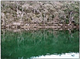 Audley on the Naish 17' 30th September 2010 010