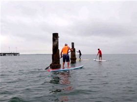 Brisbane SUP Club