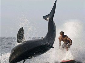 laird-hamilton-shark