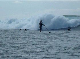 Stand Up Paddle