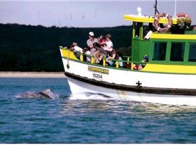 Curra%20with%20dolphins