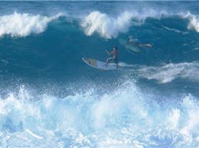 Hookipa PM 101021-02sm