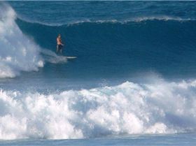 Hookipa PM 101021-10sm