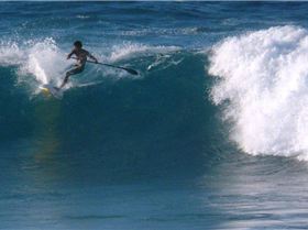 Hookipa PM 101021-12sm