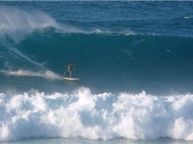 Hookipa PM 101021-13sm