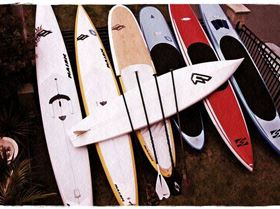 5041611738 ee40ff83bf z