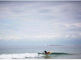 20101029-tom-carroll-jammin