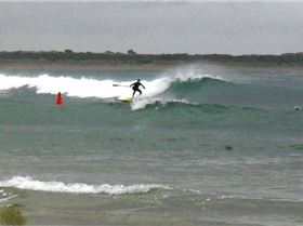 cosy cnr T sunday 14.11 10 010