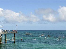 SUP Race at Brighton / Glenelg