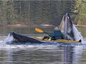 !cid 0D8CC11FF6E74FF7AF7A19261AE9649D@yourdzkt73y9fg