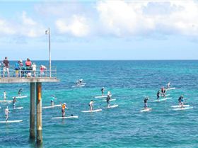 ONBOARD SA SUP DOWNWIND RACE