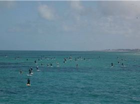 ONBOARD SA SUP DOWNWIND RACE