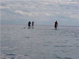 waiting on the mill pond