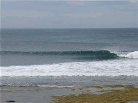 RINCON 039 (Small)