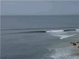 RINCON 073 (Small)