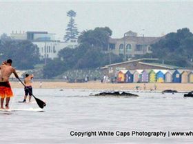 Great Melbourne Paddle