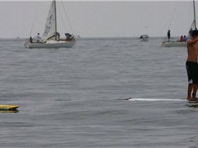 coreban great melb paddle