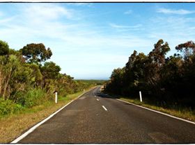Wattamolla Royal National Park 8th December 2010 001